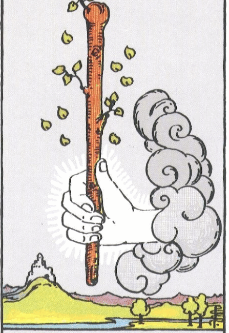 RIDER WHITE TAROT - Malá arkána eso palic