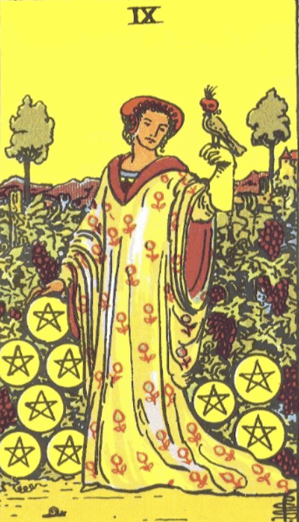 RIDER WHITE TAROT - Malá arkána 9 minci